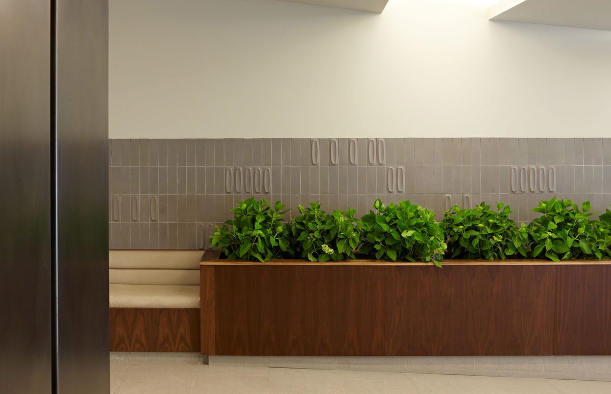 A Corridor with Green Plants in a Large Wooden Flowerpot