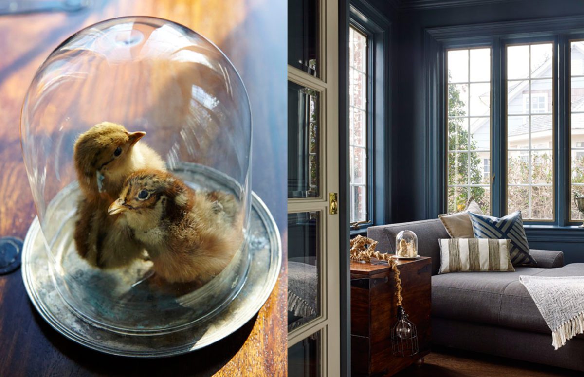 A top view of Two Chicks Decorations and a cozy grey corner sofa by the window