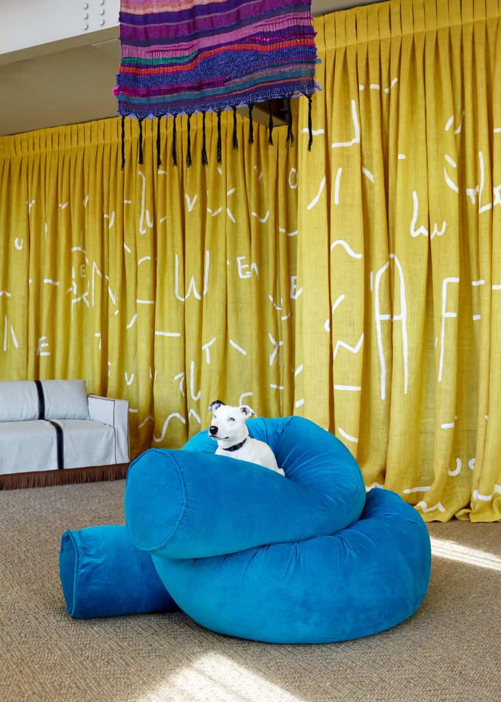A White Pitbull Over a Big Blue Noodle Pillow Posing by Yellow Lettered Curtains
